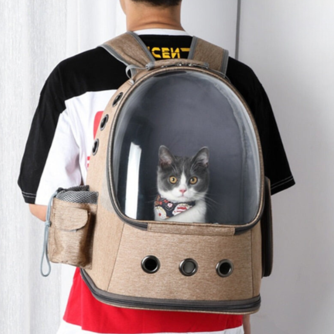 Cat Space Capsule Carrier