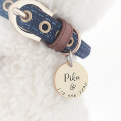 Personalized Dog ID Collar