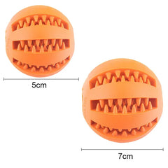 Dog Interactive Ball Toy