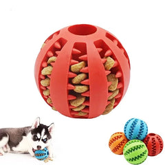 Dog Interactive Ball Toy