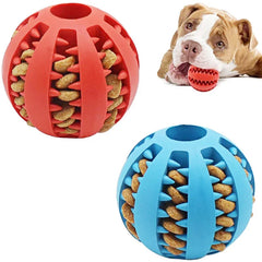 Dog Interactive Ball Toy