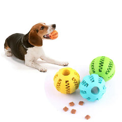 Dog Interactive Ball Toy