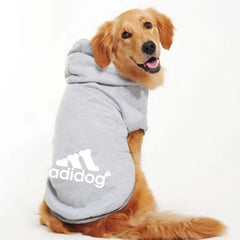 Dog Hoodies