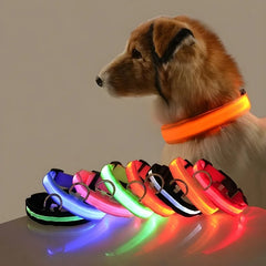 Nylon LED Dog Collar